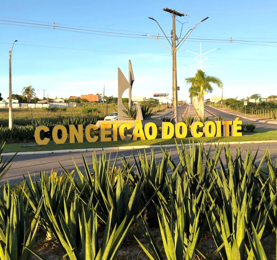 Coité Folia 2026