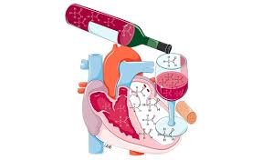 Consumo de álcool eleva riscos ao coração e traz impactos para todo o organismo, alerta cardiologista