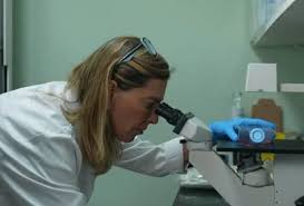 Artigo: ​Quando a ciência também desfila, mas quase ninguém aplaude