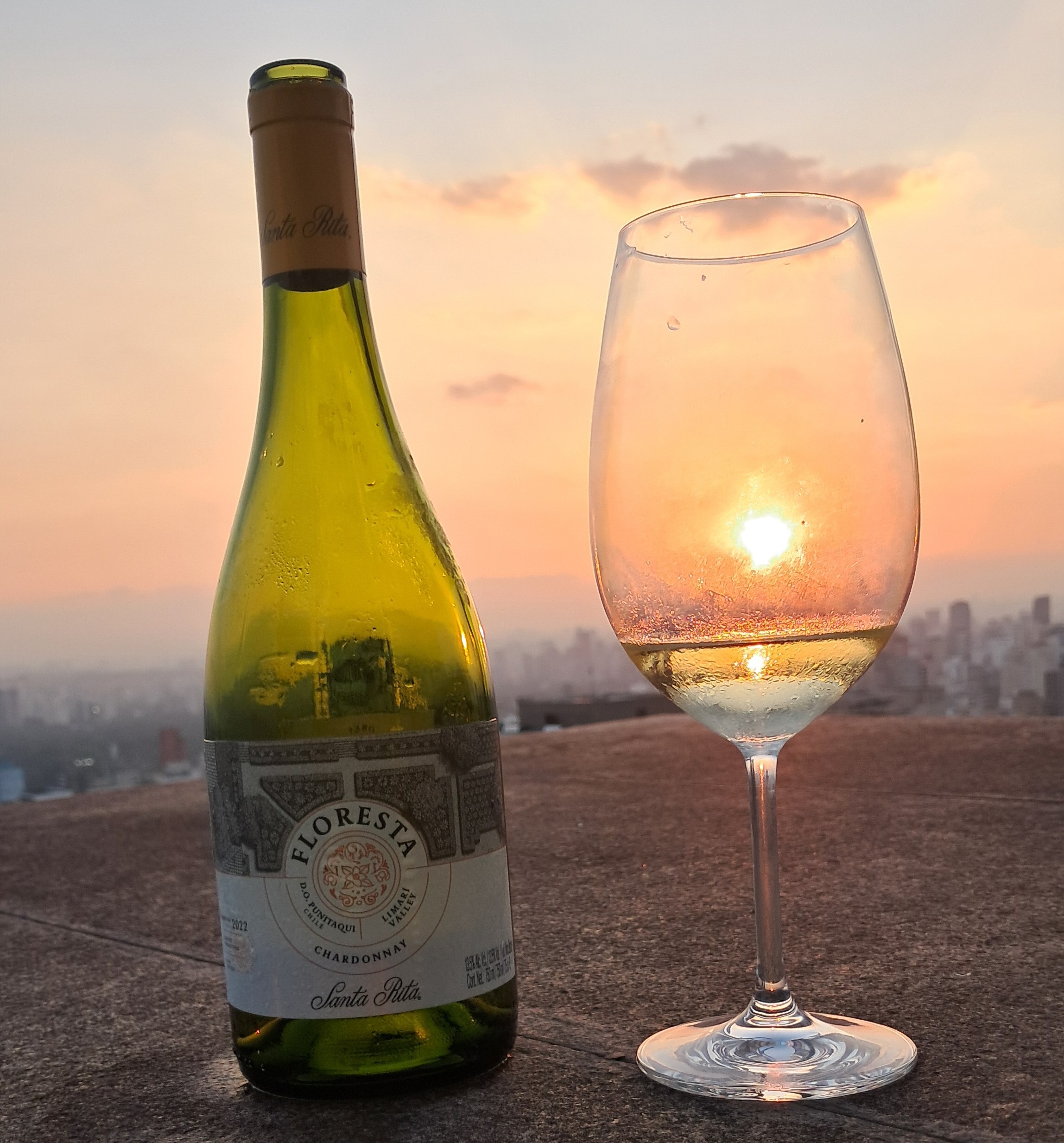 Experiência Alto Jahuel chega a São Paulo e reforça nova fase do vinho no Brasil