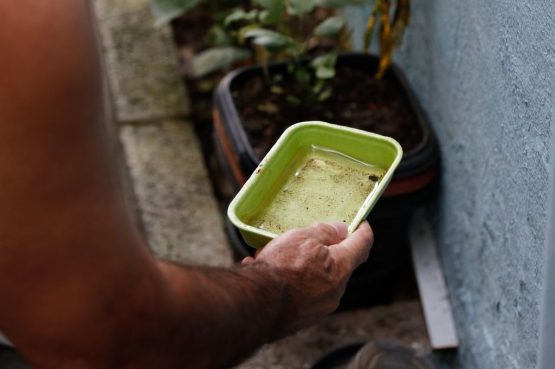 ​Bahia registra queda nos casos de dengue em 2026, mas alerta para prevenção continua