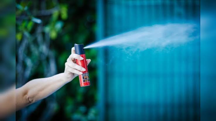 ​Lei autoriza mulheres a comprar spray de pimenta para defesa pessoal no Brasil