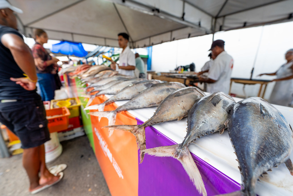 ​Feira do Peixe movimenta Camaçari e reforça tradição da Semana Santa